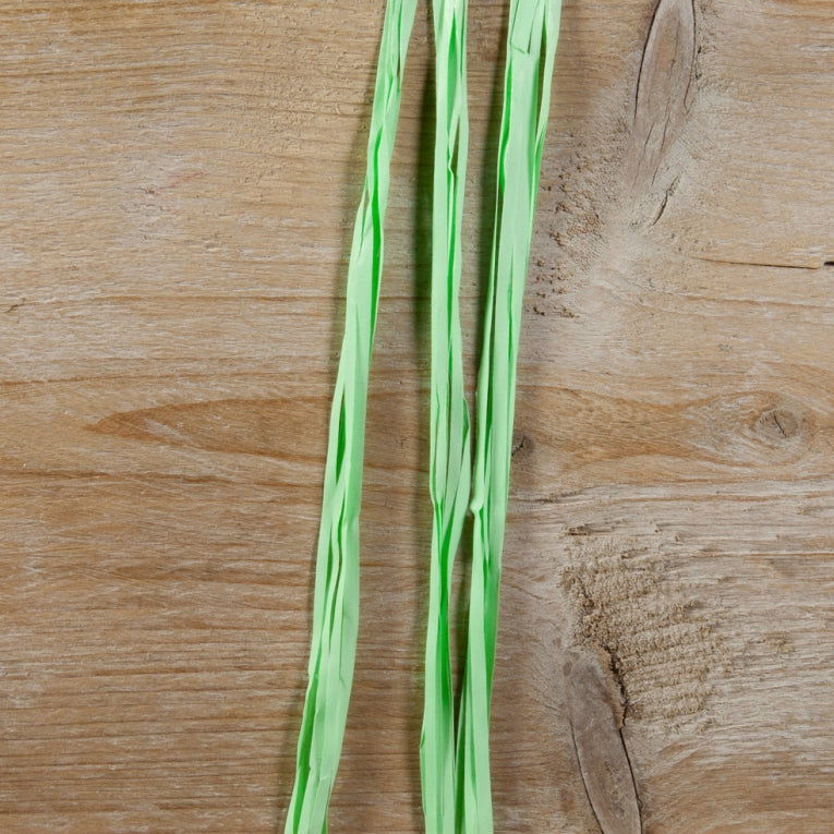 Synthetische raffia Mintgroen - Kadopapier.net